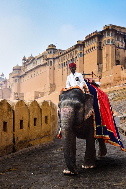 Jim Corbett with Golden Triangle tour Jim Corbett with Golden Triangle tour
